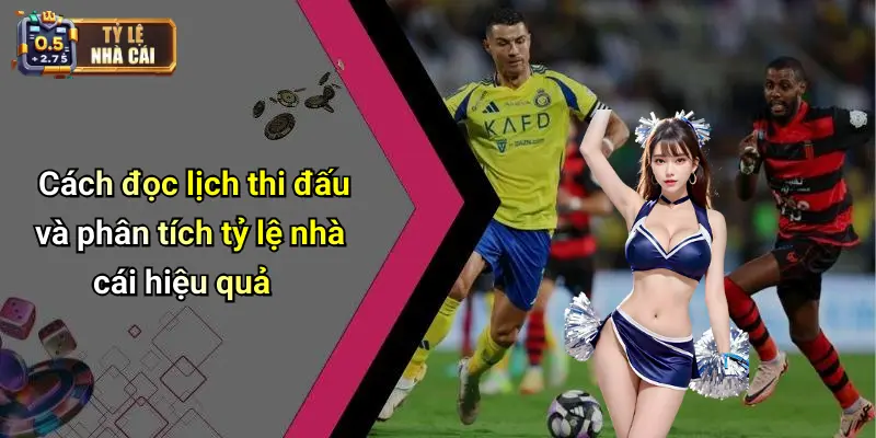 Cách đọc lịch thi đấu và phân tích tỷ lệ nhà cái hiệu quả