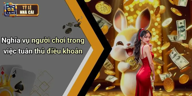 Nghĩa vụ người chơi trong việc tuân thủ điều khoản