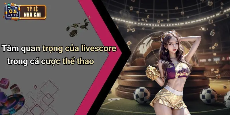 Tầm quan trọng của livescore trong cá cược thể thao