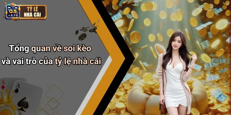 Tổng quan về soi kèo và vai trò của tỷ lệ nhà cái