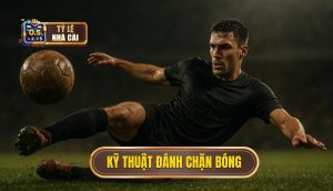 Kỹ thuật đánh chặn bóng
