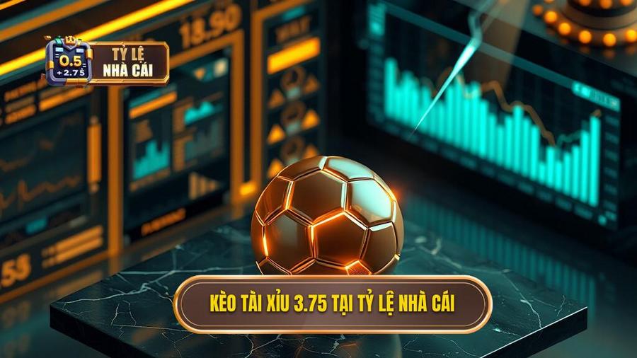 Kèo tài xỉu 3.75 tại TỶ LỆ NHÀ CÁI