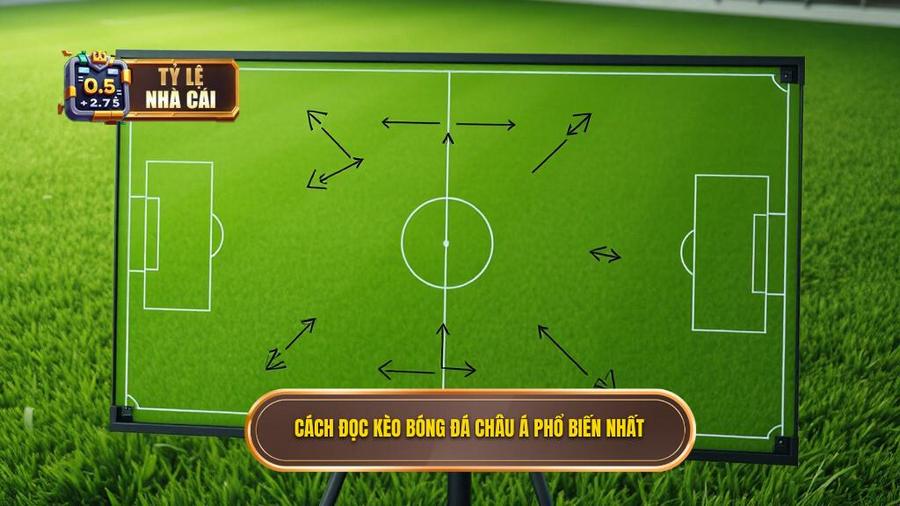 2. Cách đọc các loại Kèo bóng đá Châu Á phổ biến nhất