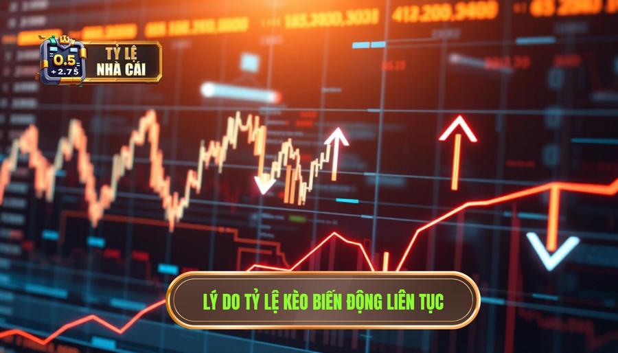 Tại sao tỷ lệ kèo lại biến động liên tục?